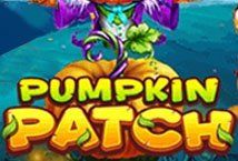 Slot Pumpkin Patch