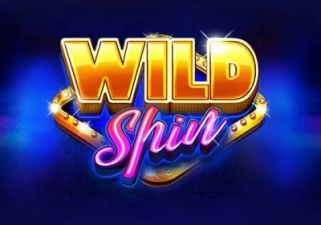 Slot Wild Spin
