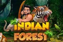 Slot Indian Forest