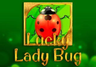Slot Lucky Lady Bug