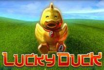 Slot Lucky Duck