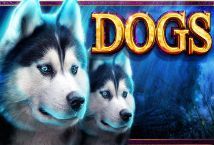 Slot Dogs