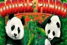 Slot Double Panda