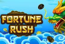 Slot Fortune Rush