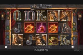 Screenshot Dead or Alive 2 Slot Review 15 