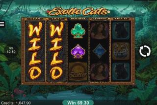 Screenshot Exotic Cats 2 