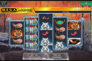 Screenshot MegaJackpots Siberian Storm 3 