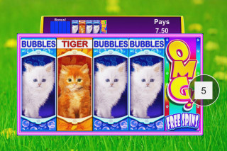 Screenshot OMG Kittens 7 