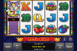 Screenshot Reel King 2 