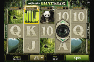 Screenshot Untamed Giant Panda 1 