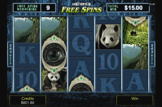 Screenshot Untamed Giant Panda 2 