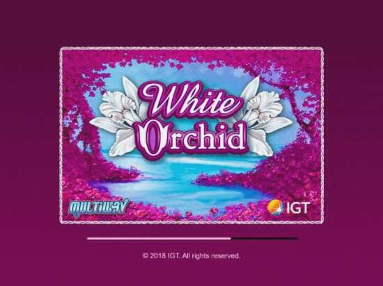 Screenshot White Orchid 2 